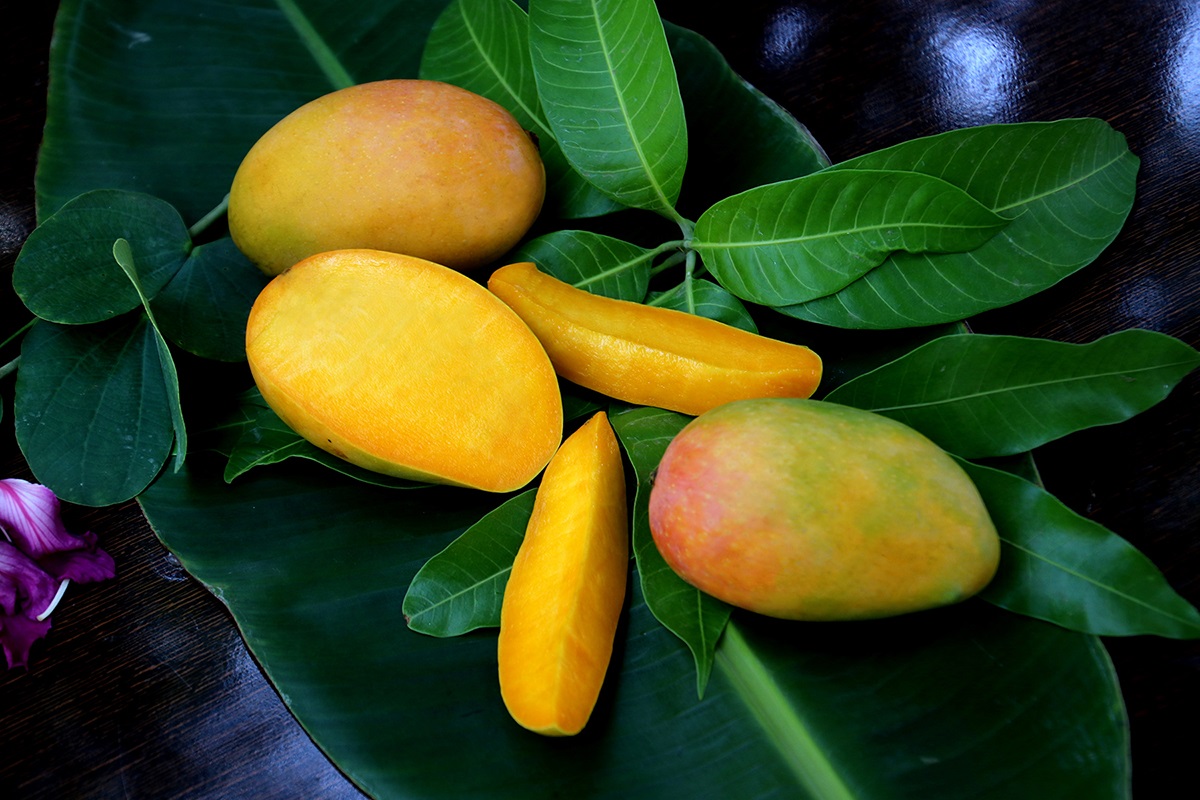 San Francisco hosts popular Indian mango festival, attracting hundreds of visitors